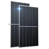 Solarni modul Trina The Duomax NEG19RC.20 595W Silver frame N-Type